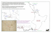 sta23 te ika a maui_thumb.gif